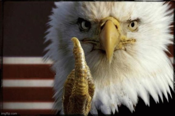 bald eagle flipping off | image tagged in bald eagle flipping off | made w/ Imgflip meme maker