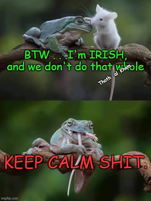 THE IRISH RULE | BTW . . .I'm IRISH, and we don't do that whole; Thoth   al  Khem; KEEP CALM SHIT. | image tagged in irish,tough men,don't mess with irish,irish are pure jewish,hill of tara / torah | made w/ Imgflip meme maker