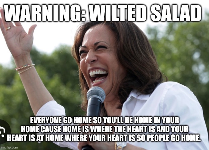 WARNING: WILTED SALAD; EVERYONE GO HOME SO YOU’LL BE HOME IN YOUR HOME CAUSE HOME IS WHERE THE HEART IS AND YOUR HEART IS AT HOME WHERE YOUR HEART IS SO PEOPLE GO HOME. | made w/ Imgflip meme maker