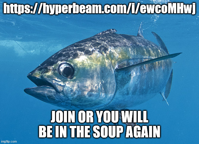 Tuna fish | https://hyperbeam.com/i/ewcoMHwj; JOIN OR YOU WILL BE IN THE SOUP AGAIN | image tagged in tuna fish | made w/ Imgflip meme maker