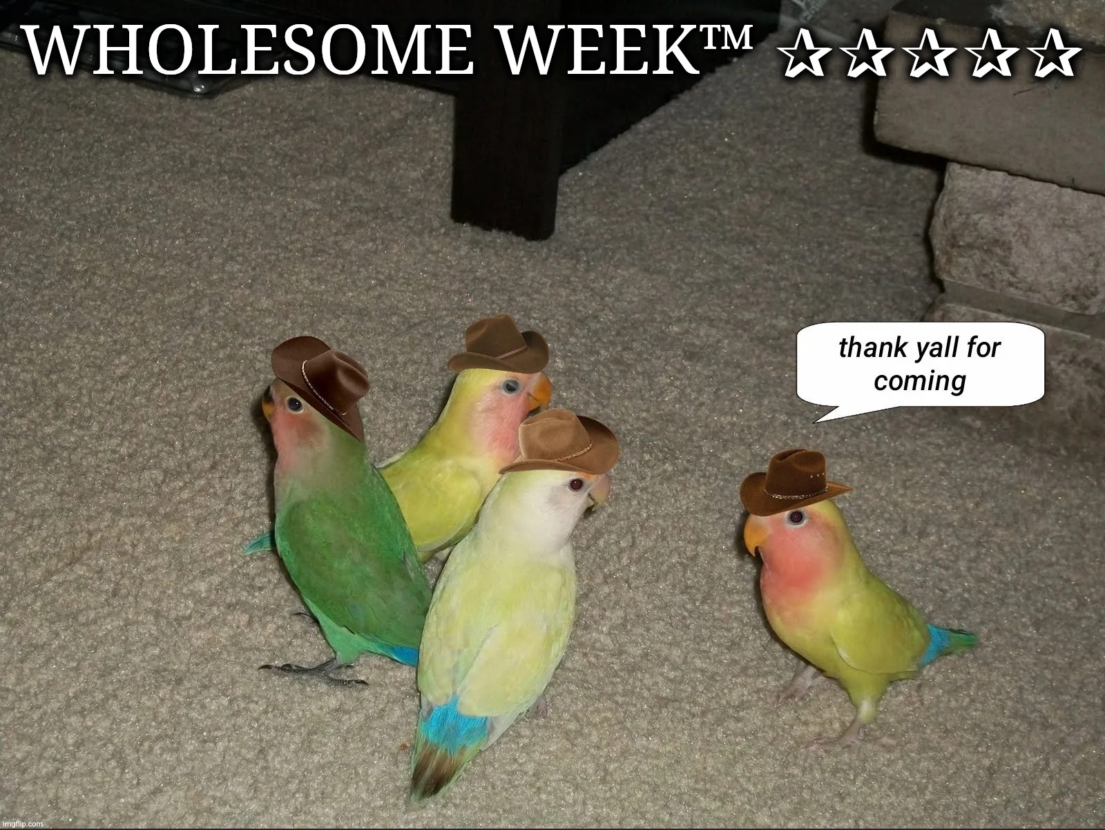 Wholesome Week™ ✰✰✰✰✰ | Gonb says thank yall for coming | WHOLESOME WEEK™ ✰✰✰✰✰ | image tagged in wholesome week,gonb,thank yall for coming | made w/ Imgflip meme maker