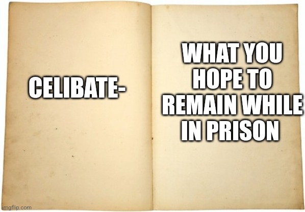 dictionary 1 | WHAT YOU HOPE TO REMAIN WHILE IN PRISON; CELIBATE- | image tagged in dictionary meme | made w/ Imgflip meme maker