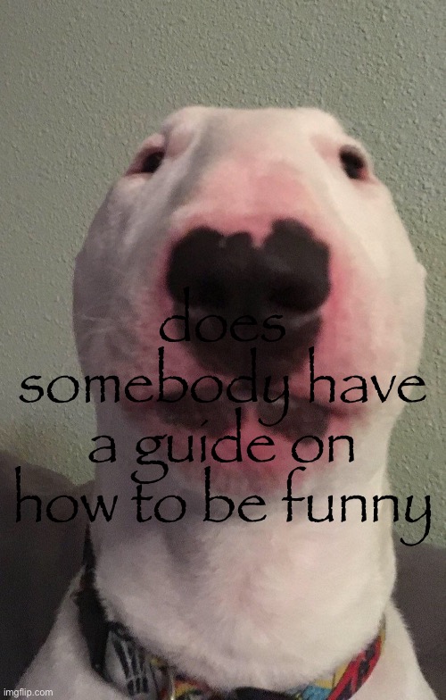 Walter | does somebody have a guide on how to be funny | image tagged in walter | made w/ Imgflip meme maker