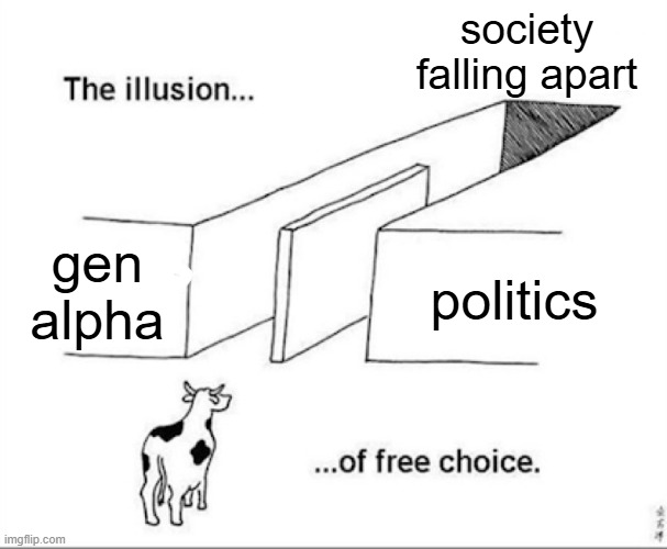 we are screwed | society falling apart; gen alpha; politics | image tagged in illusion of free choice,bruh moment | made w/ Imgflip meme maker