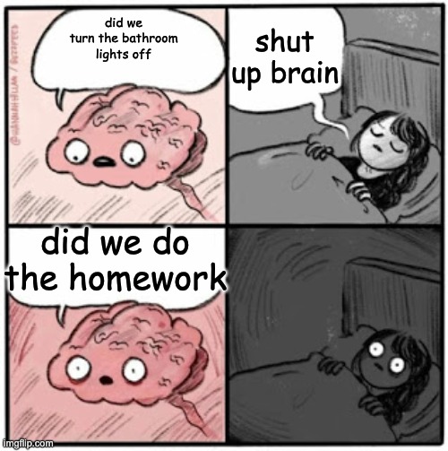 i cant sleep | shut up brain; did we turn the bathroom lights off; did we do the homework | image tagged in brain before sleep | made w/ Imgflip meme maker