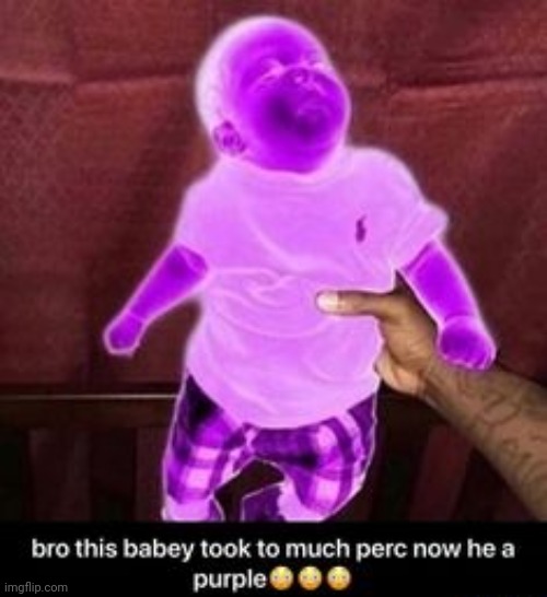 Perc babey | image tagged in perc babey | made w/ Imgflip meme maker