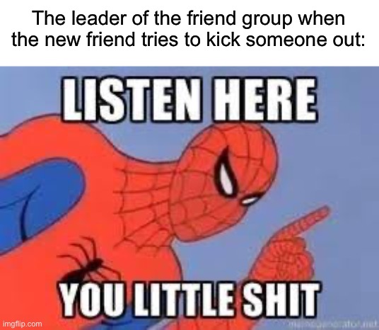 NOW LISTEN HERE YOU LITTLE SHIT | The leader of the friend group when the new friend tries to kick someone out: | image tagged in now listen here you little shit | made w/ Imgflip meme maker