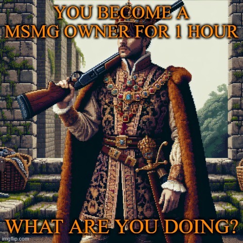 a noble, ranger | YOU BECOME A MSMG OWNER FOR 1 HOUR; WHAT ARE YOU DOING? | image tagged in a noble ranger | made w/ Imgflip meme maker