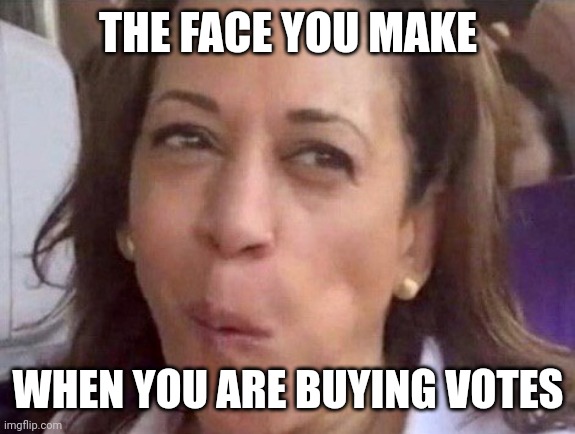 Kamala Harris | THE FACE YOU MAKE WHEN YOU ARE BUYING VOTES | image tagged in kamala harris | made w/ Imgflip meme maker