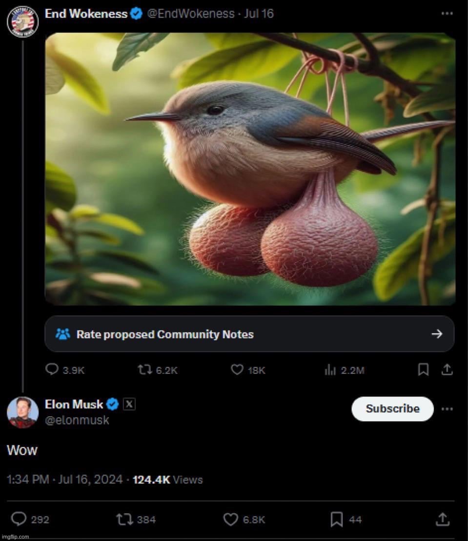 Elon fucking Musk has seen the bird with balls | made w/ Imgflip meme maker