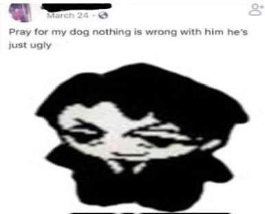 Ugly Dog Blank Meme Template