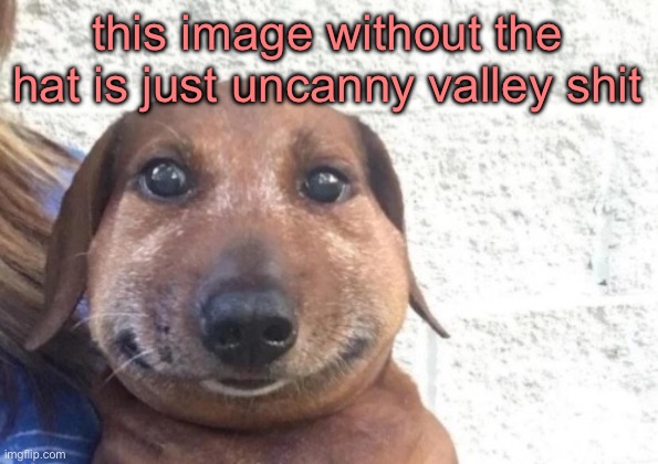 he is staring at you | this image without the hat is just uncanny valley shit | image tagged in he is staring at you | made w/ Imgflip meme maker