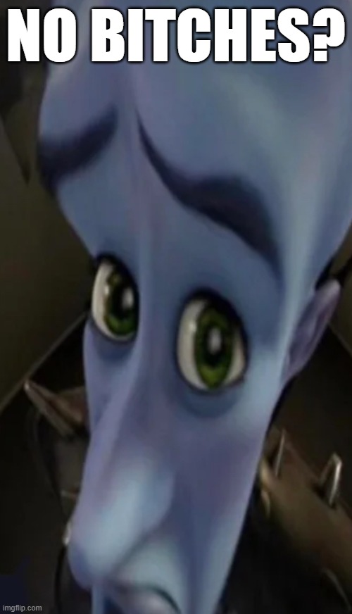 Megamind peeking | NO BITCHES? | image tagged in megamind peeking | made w/ Imgflip meme maker