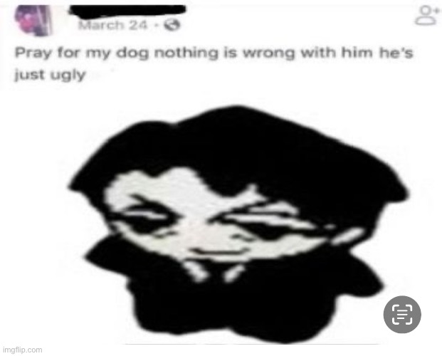 Ugly Dog (insert image) | image tagged in ugly dog insert image | made w/ Imgflip meme maker