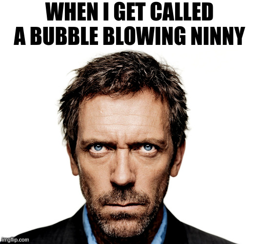 Dr House | WHEN I GET CALLED A BUBBLE BLOWING NINNY | image tagged in dr house | made w/ Imgflip meme maker