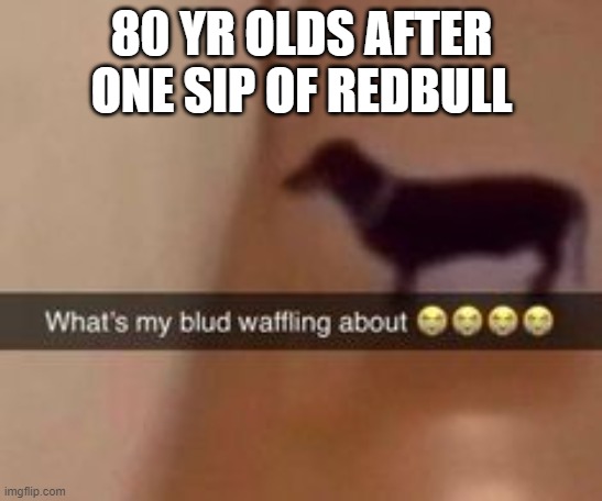 What's my blud waffling about | 80 YR OLDS AFTER ONE SIP OF REDBULL | image tagged in what's my blud waffling about | made w/ Imgflip meme maker