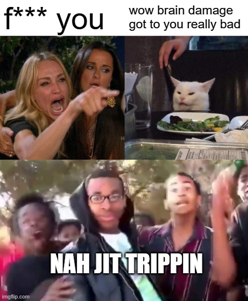 f*** you; wow brain damage got to you really bad; NAH JIT TRIPPIN | image tagged in memes,woman yelling at cat,ohhhhhhhhhhhh,minor case of serious brain damage | made w/ Imgflip meme maker