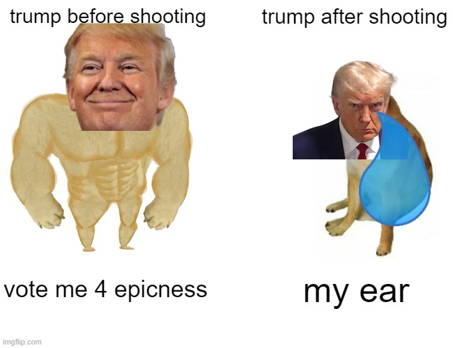 trump | trump before shooting; trump after shooting; vote me 4 epicness; my ear | image tagged in memes,buff doge vs cheems | made w/ Imgflip meme maker