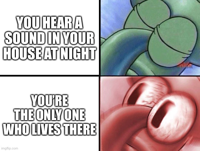 Oh no | YOU HEAR A SOUND IN YOUR HOUSE AT NIGHT; YOU’RE THE ONLY ONE WHO LIVES THERE | image tagged in sleeping squidward | made w/ Imgflip meme maker