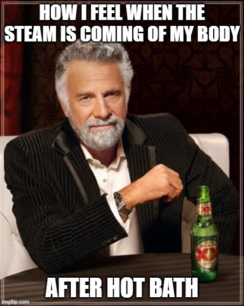 hot showers to | HOW I FEEL WHEN THE STEAM IS COMING OF MY BODY; AFTER HOT BATH | image tagged in memes,the most interesting man in the world | made w/ Imgflip meme maker