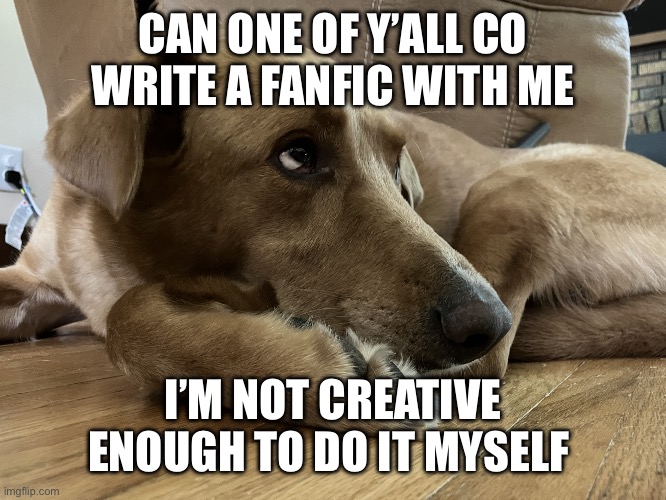 Cute Doggo | CAN ONE OF Y’ALL CO WRITE A FANFIC WITH ME; I’M NOT CREATIVE ENOUGH TO DO IT MYSELF | image tagged in cute doggo | made w/ Imgflip meme maker