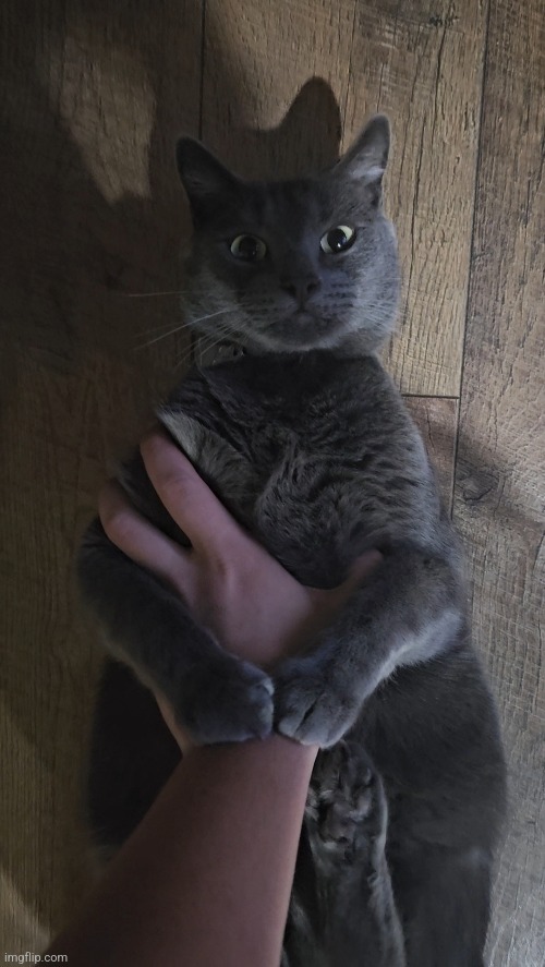 YOU | made w/ Imgflip meme maker