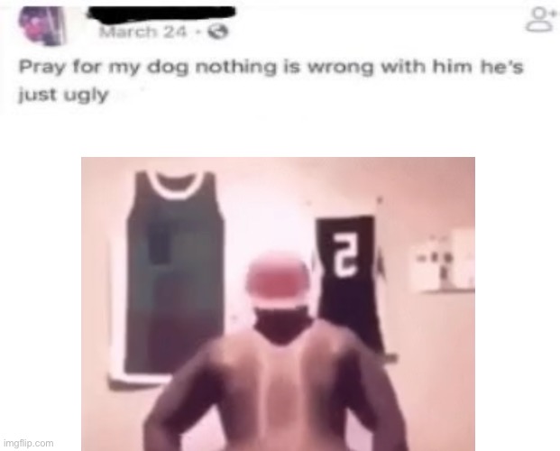 Ugly Dog (insert image) | image tagged in ugly dog insert image | made w/ Imgflip meme maker
