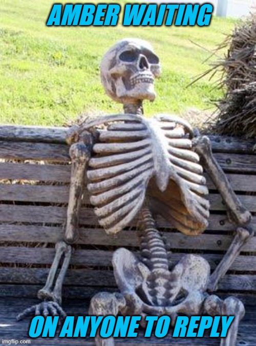 Waiting on reply | AMBER WAITING; ON ANYONE TO REPLY | image tagged in memes,waiting skeleton | made w/ Imgflip meme maker