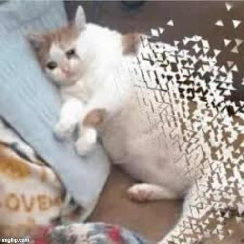 Mr Stark I don't feel so good... | image tagged in mr stark i don't feel so good | made w/ Imgflip meme maker
