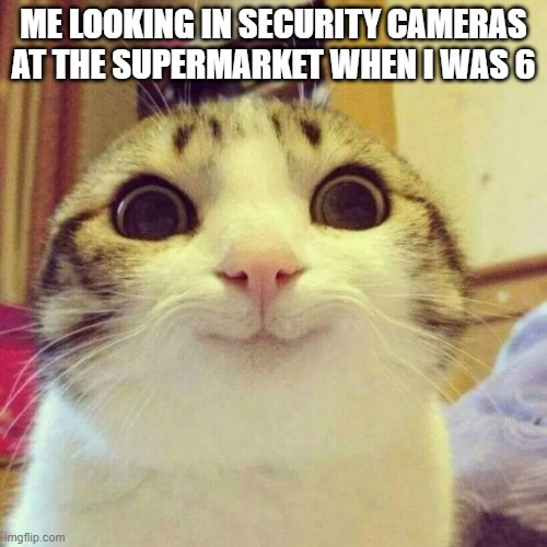 Smiling Cat | ME LOOKING IN SECURITY CAMERAS AT THE SUPERMARKET WHEN I WAS 6 | image tagged in memes,smiling cat,relatable,oh wow are you actually reading these tags,supermarket,camera | made w/ Imgflip meme maker