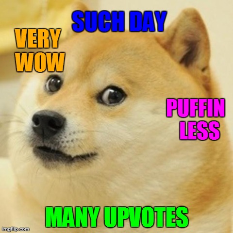 Doge Meme | SUCH DAY MANY UPVOTES PUFFIN  LESS VERY WOW | image tagged in memes,doge,AdviceAnimals | made w/ Imgflip meme maker