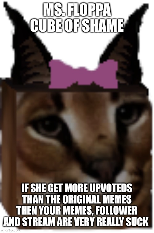 New shame | MS. FLOPPA CUBE OF SHAME; IF SHE GET MORE UPVOTEDS THAN THE ORIGINAL MEMES THEN YOUR MEMES, FOLLOWER AND STREAM ARE VERY REALLY SUCK | image tagged in ms floppa cube,floppa,caracal,roblox,raise a floppa | made w/ Imgflip meme maker