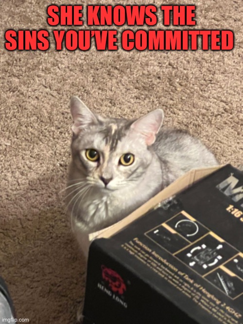 SHE KNOWS THE SINS YOU’VE COMMITTED | made w/ Imgflip meme maker