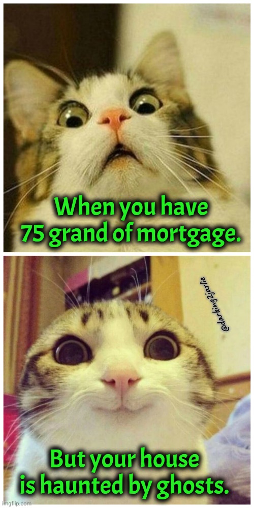 At least I ain't alone | When you have 75 grand of mortgage. @darking2jarlie; But your house is haunted by ghosts. | image tagged in scared cat to happy cat,ghosts,debt,broke,dark humor,horror | made w/ Imgflip meme maker