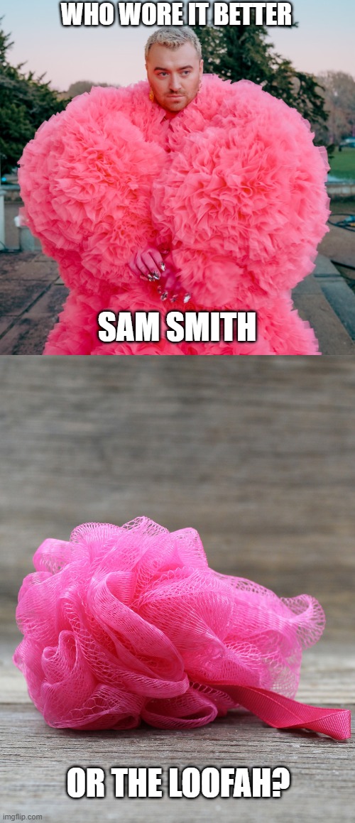 Who Wore It Better Wednesday #225 - Pink ruffles | WHO WORE IT BETTER; SAM SMITH; OR THE LOOFAH? | image tagged in memes,who wore it better,sam smith,loofah,singers,shower | made w/ Imgflip meme maker