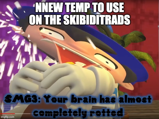 your brain has almost completely rotted | NNEW TEMP TO USE ON THE SKIBIDITRADS | image tagged in your brain has almost completely rotted | made w/ Imgflip meme maker