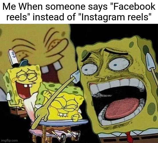 Facebook reels | Me When someone says "Facebook reels" instead of "Instagram reels" | image tagged in spongebob laughing hysterically,instagram,instagram reels,facebook,spelling error,tag | made w/ Imgflip meme maker