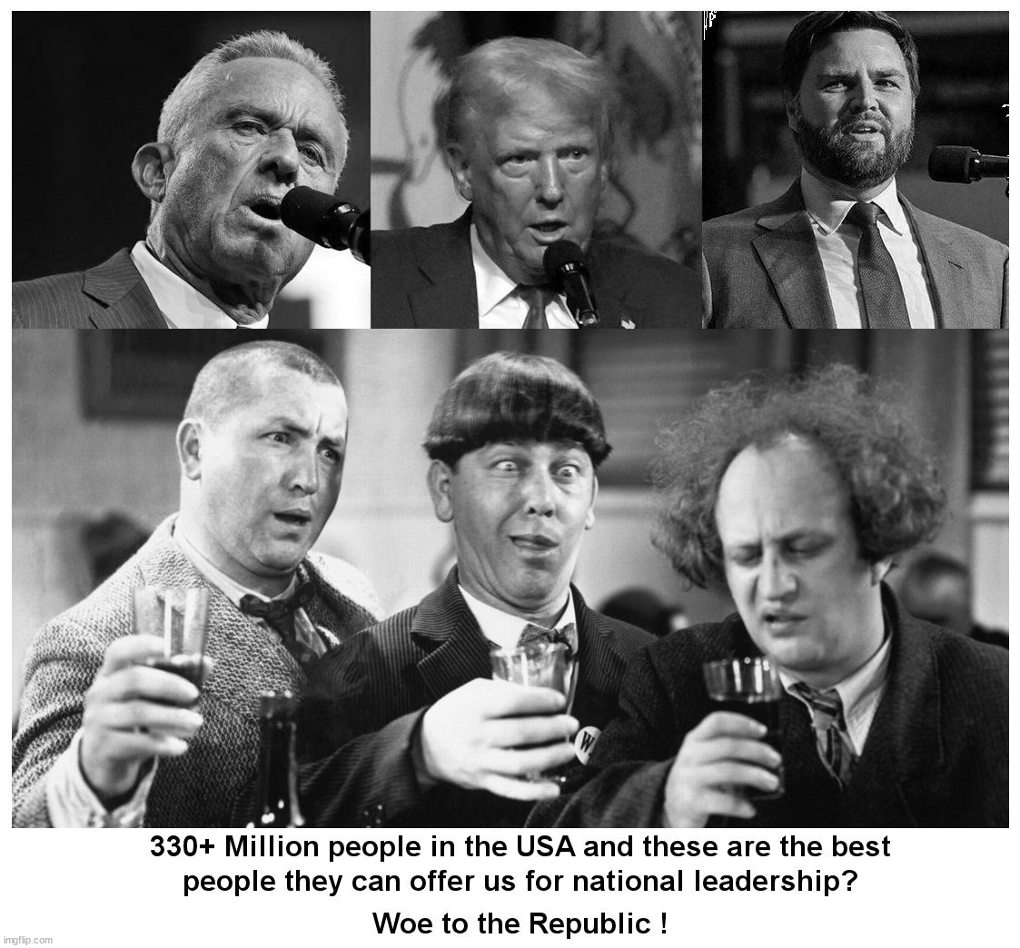 As the World Burns | image tagged in donald trump,vance,rf kennedy jr,three stooges | made w/ Imgflip meme maker