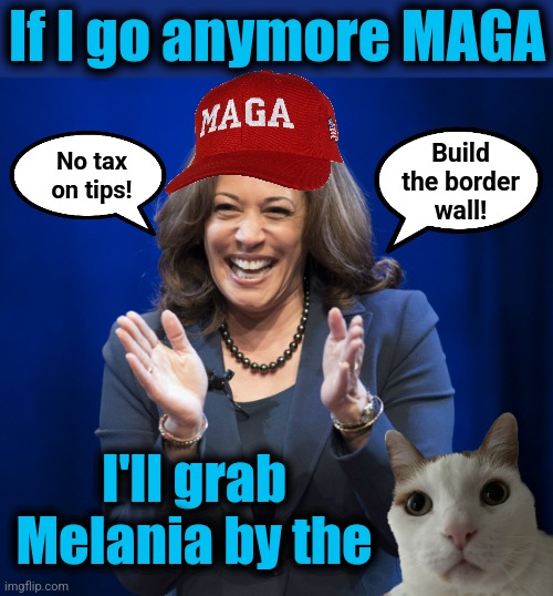 Kamala gone MAGA | If I go anymore MAGA; Build
the border
wall! No tax
on tips! I'll grab Melania by the | image tagged in kamala harris laughing,memes,democrats,maga,build the wall,look out melania | made w/ Imgflip meme maker