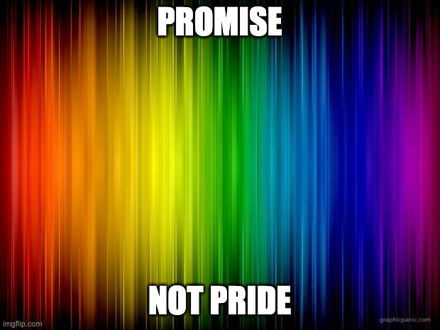 rainbow background | PROMISE; NOT PRIDE | image tagged in rainbow background | made w/ Imgflip meme maker