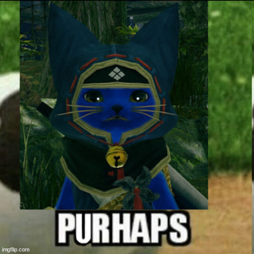 PURHAPS | image tagged in perhaps,monster hunter,monster hunter rise,rise,meow limit | made w/ Imgflip meme maker