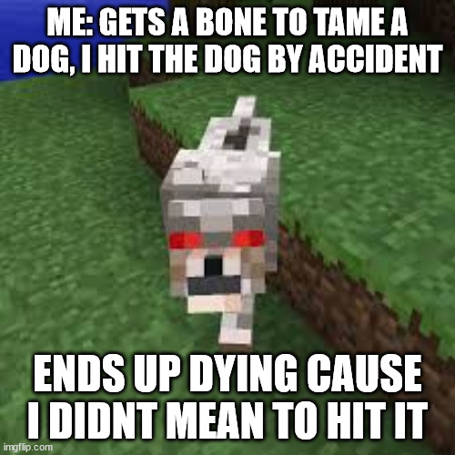 yay, i died... | ME: GETS A BONE TO TAME A DOG, I HIT THE DOG BY ACCIDENT; ENDS UP DYING CAUSE I DIDNT MEAN TO HIT IT | image tagged in minecraft | made w/ Imgflip meme maker