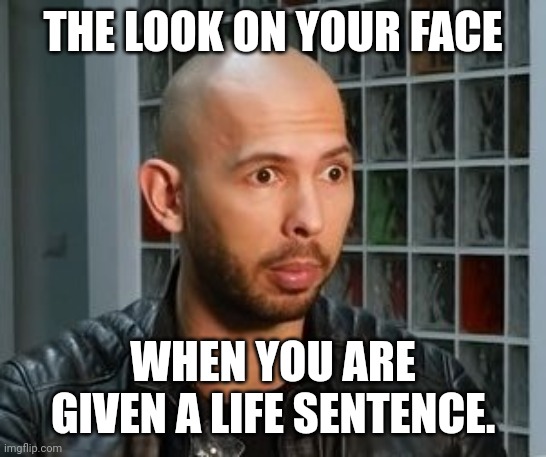 Andrew Tate wojack face | THE LOOK ON YOUR FACE; WHEN YOU ARE GIVEN A LIFE SENTENCE. | image tagged in andrew tate wojack face | made w/ Imgflip meme maker