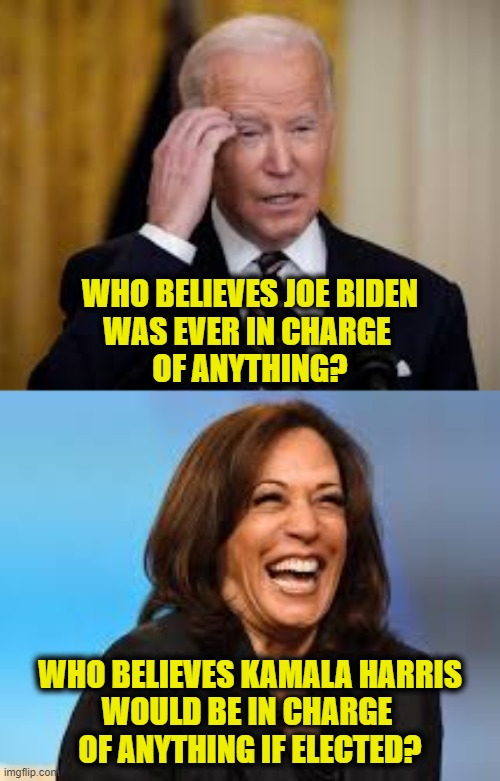 Who is running the show? | WHO BELIEVES JOE BIDEN
WAS EVER IN CHARGE 
OF ANYTHING? WHO BELIEVES KAMALA HARRIS
WOULD BE IN CHARGE 
OF ANYTHING IF ELECTED? | image tagged in deep state | made w/ Imgflip meme maker