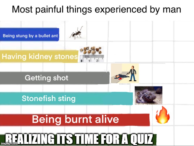 Worst types of pains known to man | REALIZING ITS TIME FOR A QUIZ | image tagged in worst types of pains known to man | made w/ Imgflip meme maker