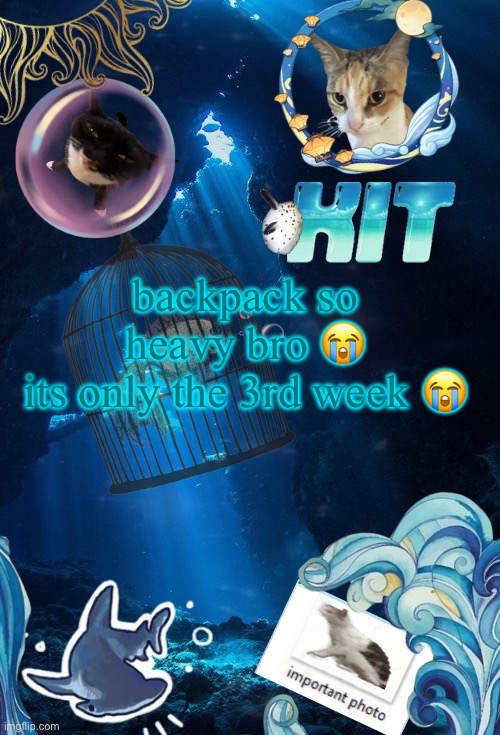 silly announcement template by asriel | backpack so heavy bro 😭
its only the 3rd week 😭 | image tagged in silly announcement template by asriel | made w/ Imgflip meme maker