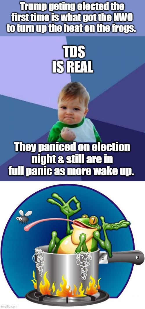 Its very real you can see it everywhere Worldwide, thats how you know the NWO is behind the panic. | Trump geting elected the first time is what got the NWO to turn up the heat on the frogs. TDS IS REAL; They paniced on election night & still are in full panic as more wake up. | image tagged in memes,success kid | made w/ Imgflip meme maker