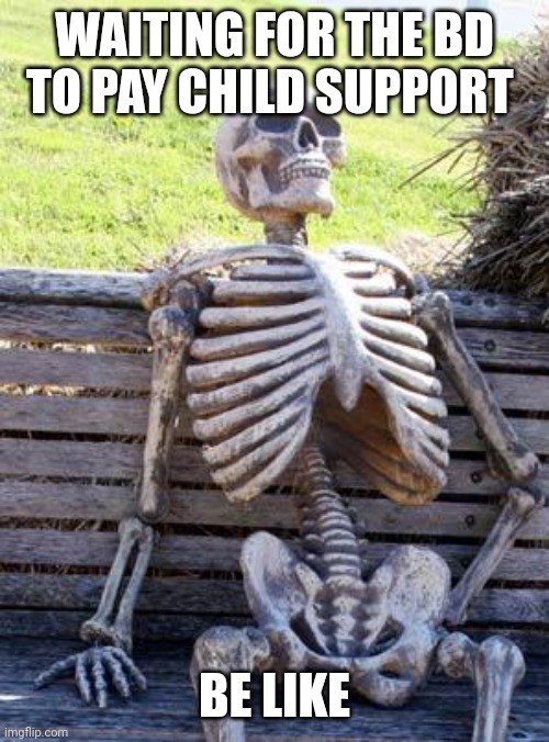 Never getting that check | WAITING FOR THE BD TO PAY CHILD SUPPORT; BE LIKE | image tagged in memes,waiting skeleton | made w/ Imgflip meme maker