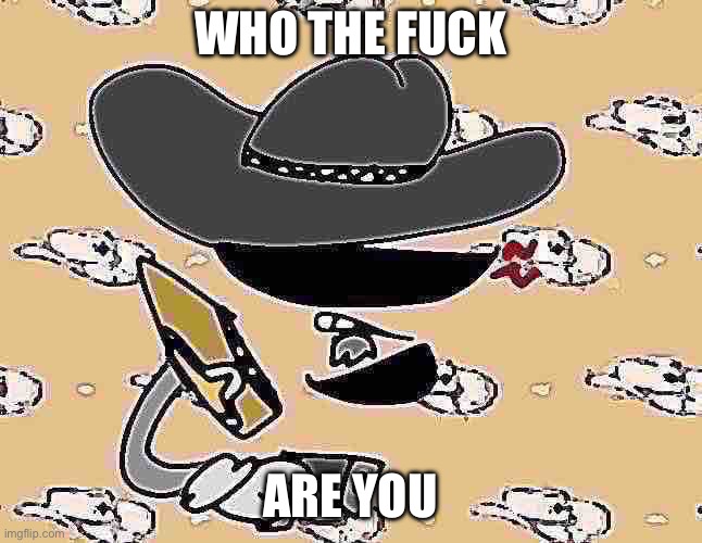 cowboy divvy | WHO THE FUCK ARE YOU | image tagged in cowboy divvy | made w/ Imgflip meme maker