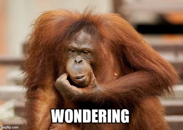 wondering | image tagged in wondering | made w/ Imgflip meme maker